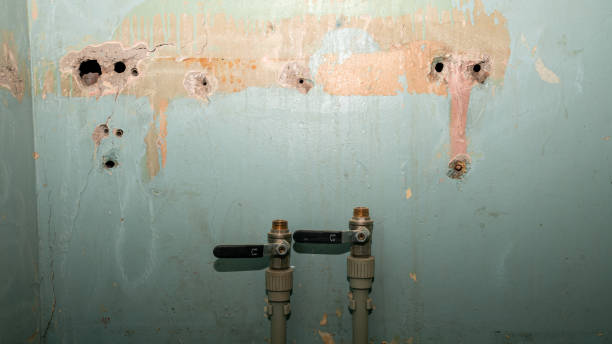 Best Fire Damage Restoration  in Statesville, NC